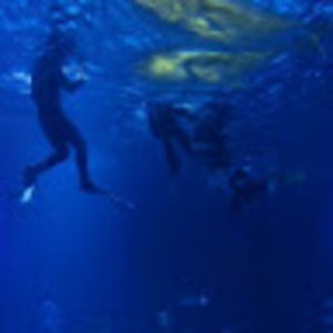 Meet your Posher, Chad